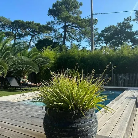 La Kabane De Manou, Maison De Charme Cap Ferret * Belisaire