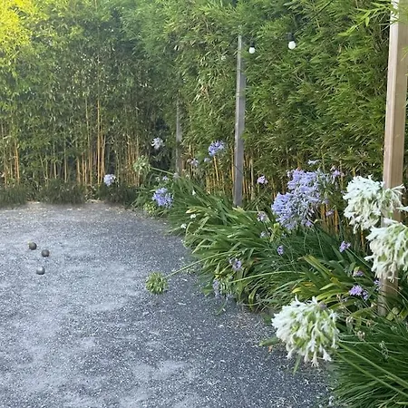 Holiday home La Kabane De Manou, Maison De Charme Cap Ferret Belisaire
