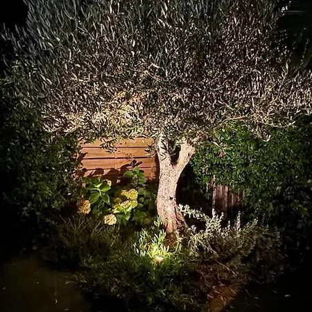 La Kabane De Manou, Maison De Charme Cap Ferret Belisaire